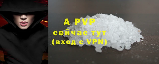 Альфа ПВП Магадан