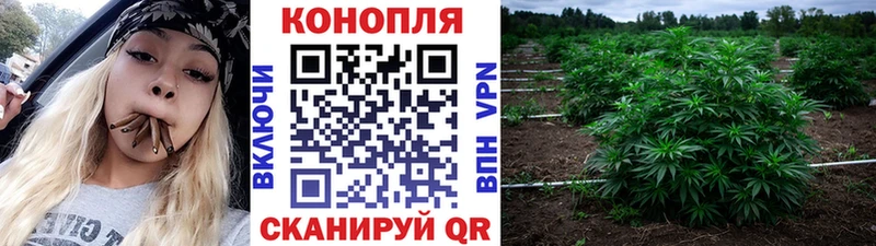 Купить где  Нязепетровск  Каннабис планчик 